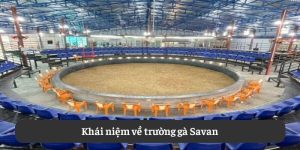 Khái niệm về trường gà Savan